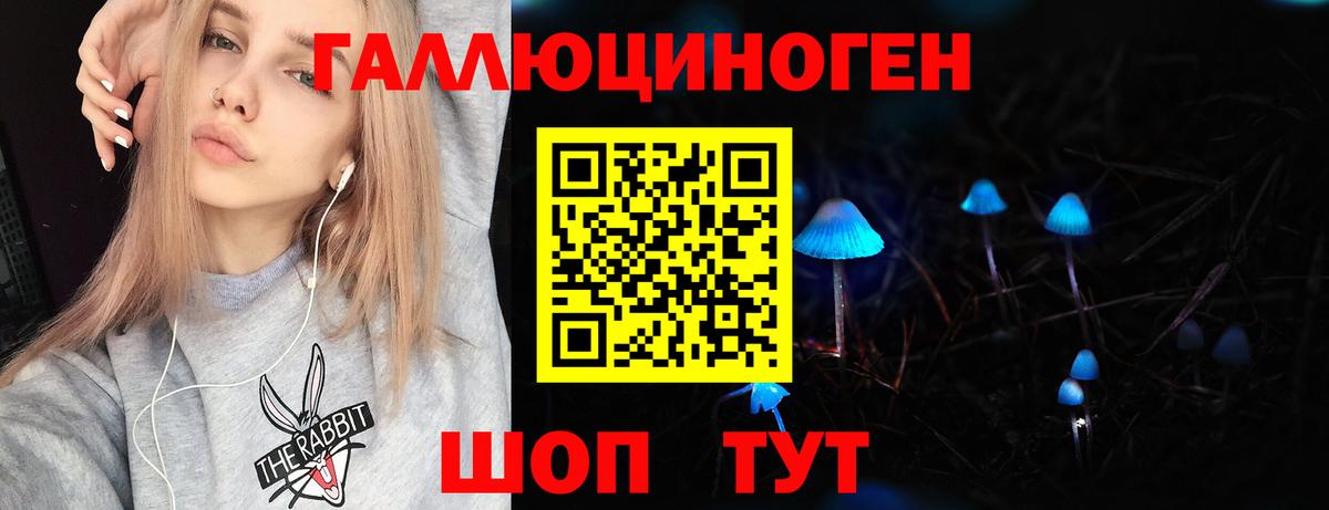 Михайловка  Галлюциногенные грибы прущие грибы  Вход с VPN 